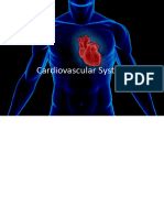 Cardiovascular System