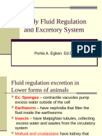 Biology 2 Body Fluid Regulation and Excretory System