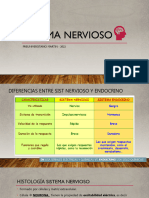 Sist Nervioso Central - Parte 1 - Medicina 2024