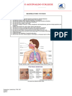 Pulmonary System - Student