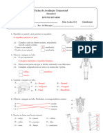 Teste Estudo Do Meio 4 Ano 1 Periodo Dezembro Solucoes