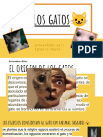 ?los Gatos?