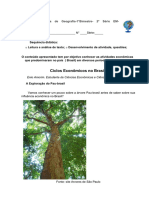 Ciclos Econômicos Do Brasil - Parte I