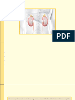 Aula 17 - Fármacos Que Afetam A Função Renal