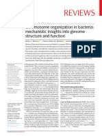 Chromosome Organization in Bacteria