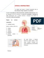 Bio - Urinario, Cardio, Respiratório