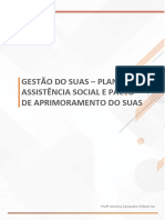 Gestão Do Plano Suas