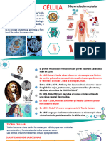 Tema 03 y 04 - Citologia Parte 1 y 2