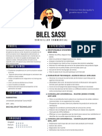 Bilel Sassi: Profil Experience