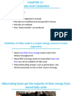 Fatty Acid Catabolism Slide 1