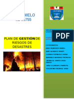 Plan de Gestion de Riesgos de Ii - Ee - 2024