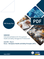 Idip Part 2 Diploma Nebosh