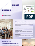 Microambiente Interno y Externo