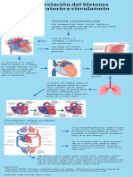 Infografia Morfo