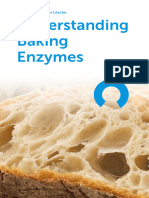 Flour Enzyme