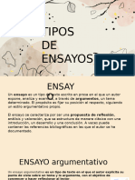 Tipos de Ensayos