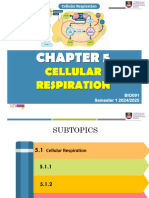 05 - Chapter 5 Cellular Respiration 20242025