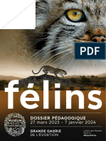 Dossier Pedagogique Exposition Felins