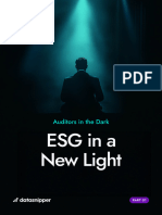 Auditors in A The Dark - ESG in A New Light PT 1