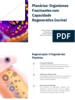 Planarias Organismos Fascinantes Com Capacidade Regenerativa Incrivel PDF