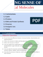 1.1 Carbohydrates (Mr. Exham)