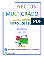 Proyectos - Mtro Jose Luis-3