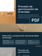 Proceso de Germinacion de La Lenteja