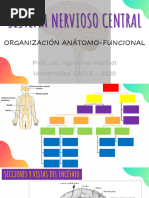 Sistema Nervioso Central