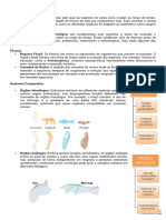 Resumo Evolução Biológica