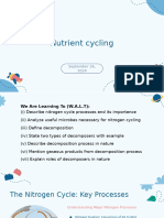 Nitrogen Cycle