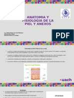 Anatomia y Fisiologia de La Piel