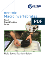 Benthic Macroinvertebrates ID Guide