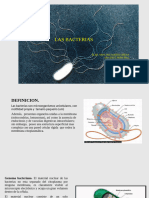 Clase 9. Bacterias-1