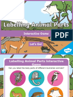 TG Au ST Labelling Animal Parts Interactive Game - Ver - 3