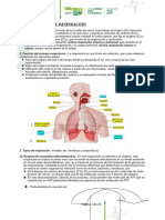 Ficha Complementaria de Biologia - Sistema Respiratorio y Circulatorio 5to - 2024