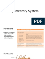 LESSON5 Integumentary System