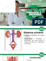 Sistema Urinario