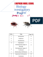 Biology Project