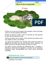 El Lobo Es Uno de Los Animales Más Antiguos