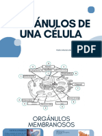 MorenoBogotá Pedro Tema2Tarea1