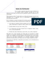 Sales Schussler