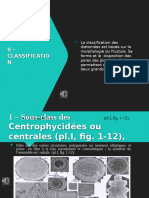 Chapitre 2 Classification Des Diatomées