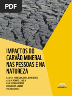 Impactos Do Carvão Mineral Nas Pessoas e Na Natureza