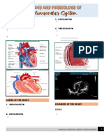 Cardio Anatomy and Diseases