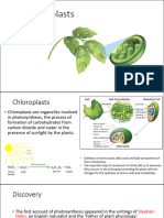 Chloroplasts