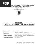 Informe: Prácticas Pre-Profesionales en Planta de Cerveza Industrial