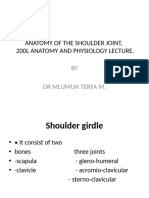 Anatomy of The Shoulder Joint