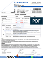 Dengue Fever Test Report