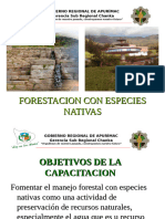 2 Forestacion Con Especies Nativas