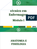 ENF Aula 10 - Sistema Nervoso + Endócrino